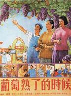 葡萄熟了5免费观看全集电视剧高清