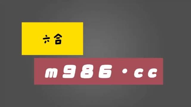 白小姐一肖一码准最新开奖结果，专家解答解释落实_VIP26.46.19