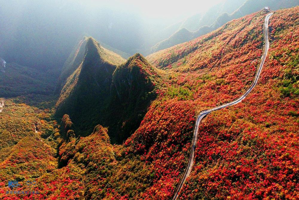 从红叶到经济，巫山旅游打响冬季品牌