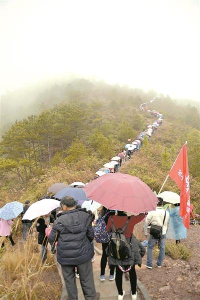 第八届国际和平徒步活动在江苏南京盛大举行