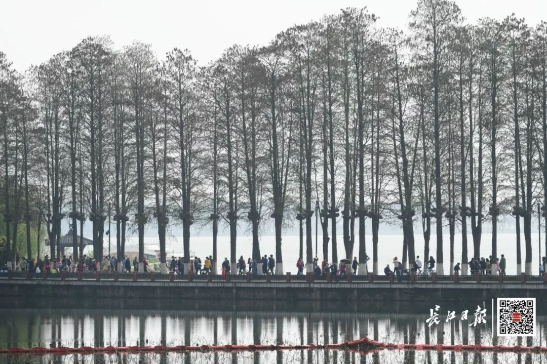 东湖观舆丨若是那流量泼天来