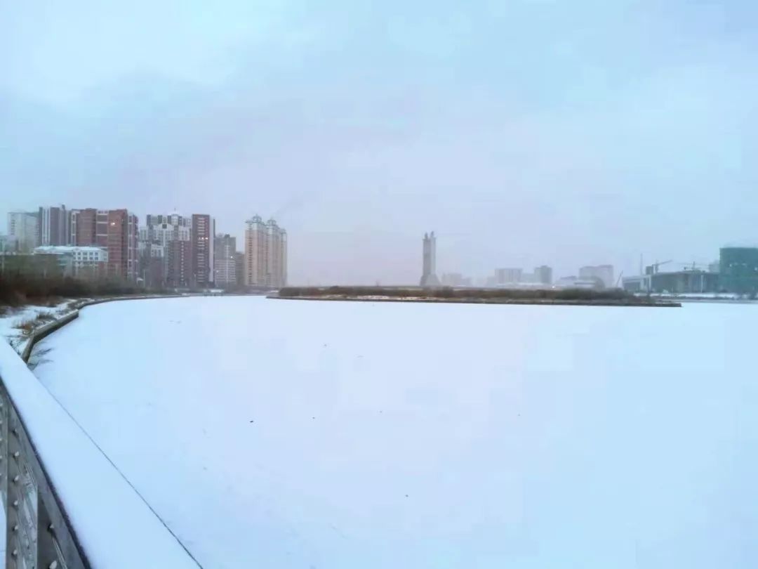 内蒙古呼伦贝尔迎大范围降雪，气温骤降至零下三十度，草原银装素裹，壮丽景象震撼人心！