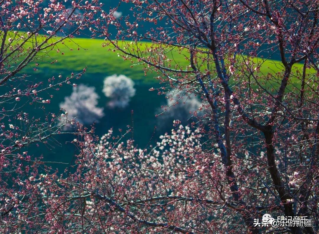 新疆那拉提草原杏花谷雪后美景，如诗如画，宛若水墨画卷