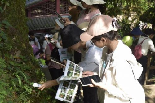 全国多地数百名植物爱好者齐聚广东丹霞山，探索植物宝藏