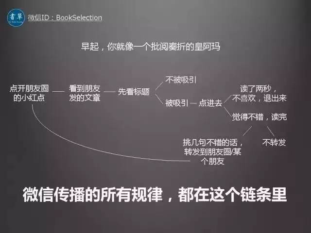 自媒体作者文章标题，揭秘原视频背后的故事，一场数字背后的情感与探索之旅 1089_1731736638背后的故事