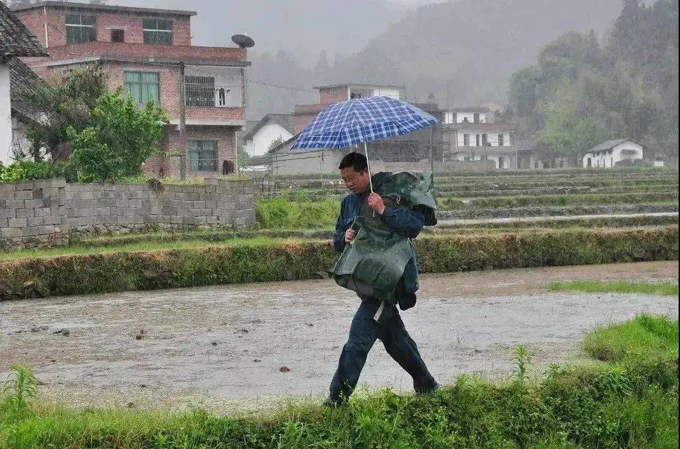 湖北山间信使坚守乡村邮路29载，温暖大山深处的每一颗心灵