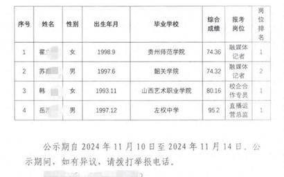 国企聘用中学文凭人员为总监，背后隐藏的真相与深思