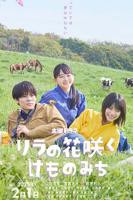 丁香花免费观看完整版