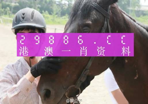 澳门今晚必中一肖一码，可靠解答解释落实_GM版22.98.71