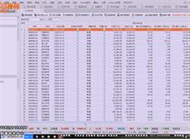 2024新澳门天天彩开奖记录，深入解答解释落实_3DM34.41.58