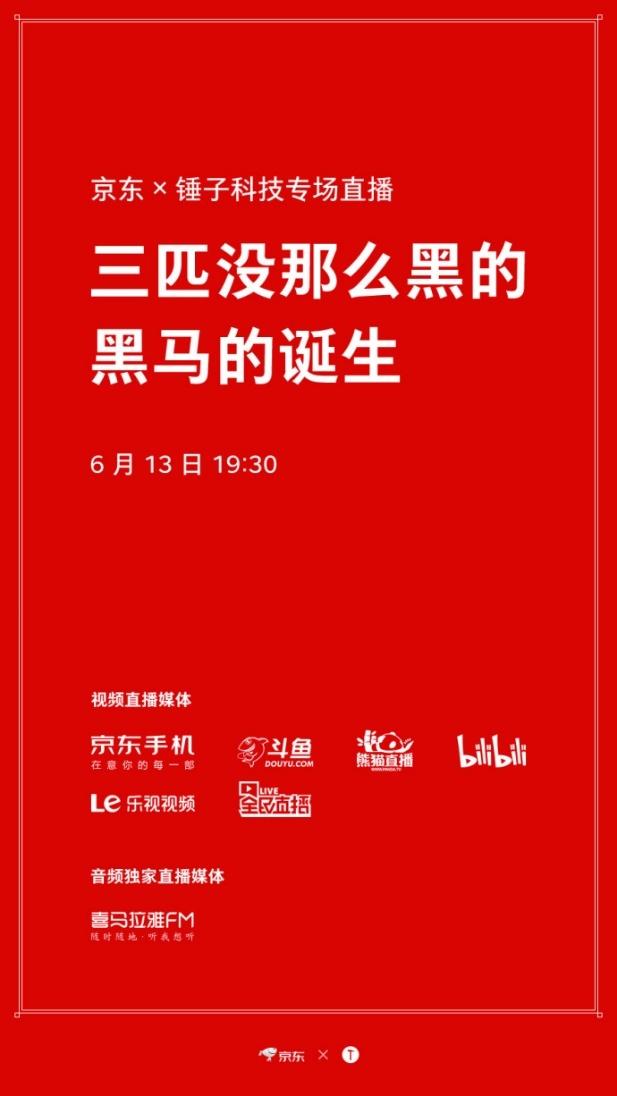 2024年管家婆的马资料55期，科学解答解释落实_VIP48.79.94