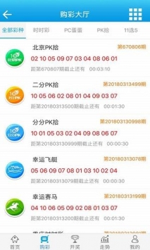 2024澳门开奖结果王中王，可靠解答解释落实_iPhone97.69.36