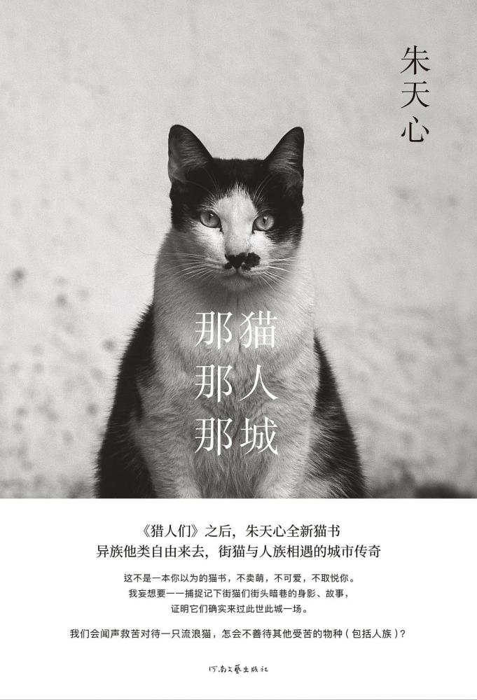 猫，一场无实物表演的艺术展现